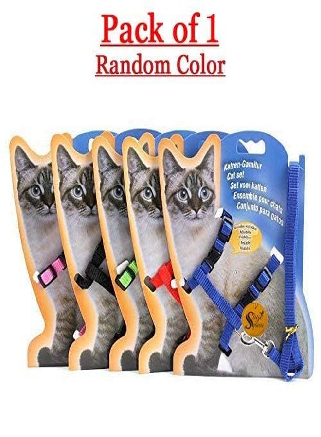 Sage Square Cat Harness & Leash for Walking, Escape Proof, Durable & Adjustable Harness with Leash Rope Set for Cat (Random) - Image 2